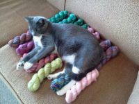 The yarn is mine!