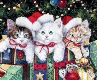 Christmas cats