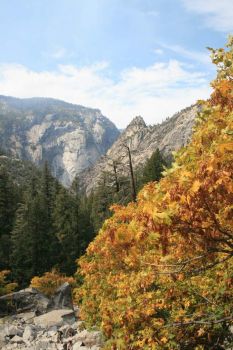 ₒ~o⁰oₒꎺꎺ Autumn in Yosemite ꎺꎺₒo⁰o~ₒ