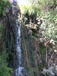 Japanese Tea Garden waterfall, San Antonio, Texas