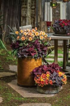 Rustic Fall Container Gardens.