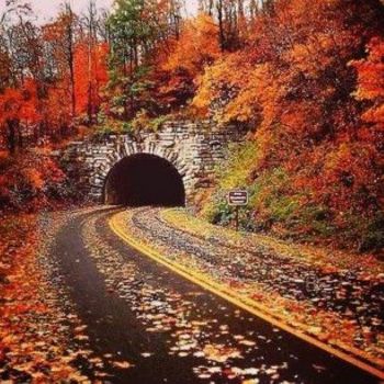 Highway to the tunnel during autumn rain
