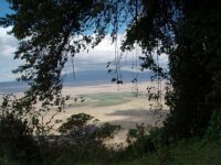 udsigt over Ngorongoro