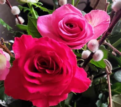 Solve Roses jigsaw puzzle online with 42 pieces