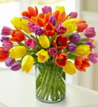 Tulip Floral Arrangement (Apr17P26)