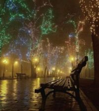 Christmas in the Park