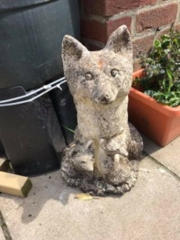 62652636_10156879399440100_7900385761654996992_n