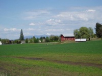 Spring View of Mt. Spokane