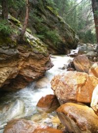 Refreshing stop near Guenella Pass, Colorado