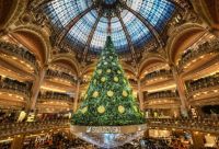 Christmas Tree in Paris