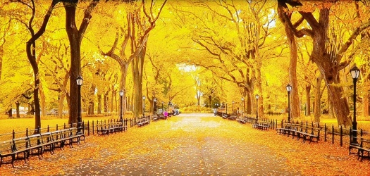 Solve Golden Trees Jigsaw Puzzle Online With 105 Pieces