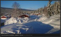 Vinter i Sverige 11