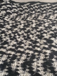 afghan using zebra varigated yarn