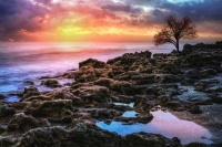 Spiritual-glow-at-dawn