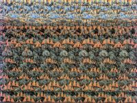 Magic Eye shark Attack
