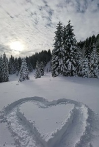 Snowy Love