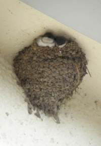 Housemartins 2