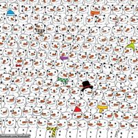 find the panda
