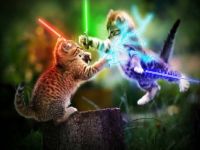 cats_lightsabers