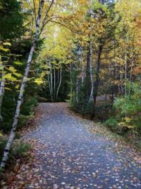 Autumn Hiking Trail