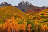 Alaska Autumnal Ambience