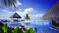 Resort sea palm trees