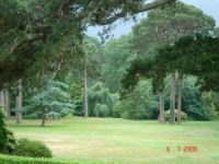 Green on green