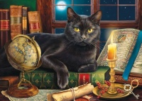 Literary Cats #2