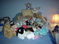 Can you spot my cat?