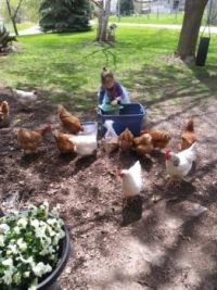 brook and her chickens