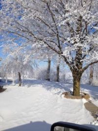 snowy