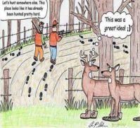Clever deers :-)
