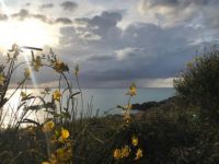 evening at the coast