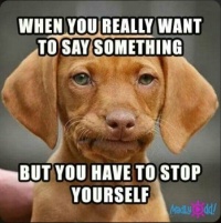 ...nothing more to 'say'