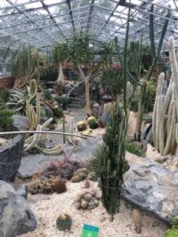 Cactus House, Inverness Botanic Gardens