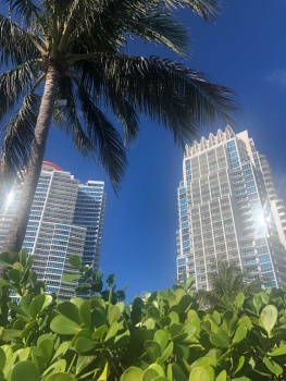 South Beach Towers