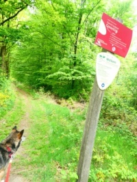 In Winterswijk we have several trails that are allowed with dogs on the leash, some are called....