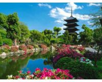 Amazing gardens (12)