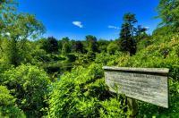Azalea Gardens