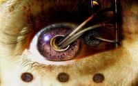 Eye of the Beholder
