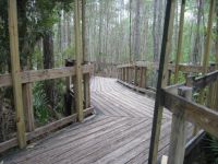 Calusa Nature Center in Fort Meyers, Florida