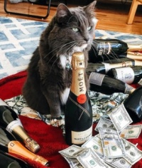 Houdini visited the Pu$$ycat Lounge. Houdini bought the Pu$$ycat Lounge.