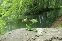 Little Dragon Challenge XII