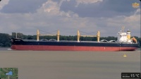 Screenshot 2025-05-25 at 14-40-57 Live von der Elbe vor Grauerort – Schiffsverkehr hautnah erleben Shipspotting 180° Panorama - YouTube