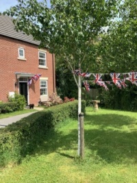 My front garden (with Sid) ready for the Jubilee