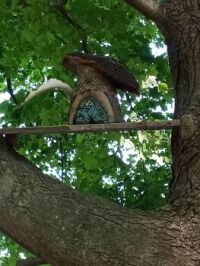 Fairy House