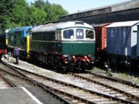Class 33 Buckfastleigh (small)