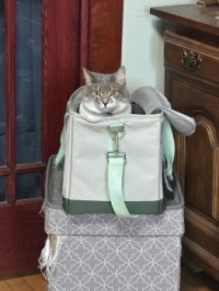 I clawed the hassock and it works great! Let's go shopping to get another one.