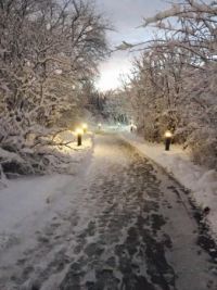 A snowy path, at dusk, in Cambridge, Massachusetts USA