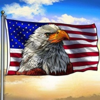 United States Eagle 🇺🇸